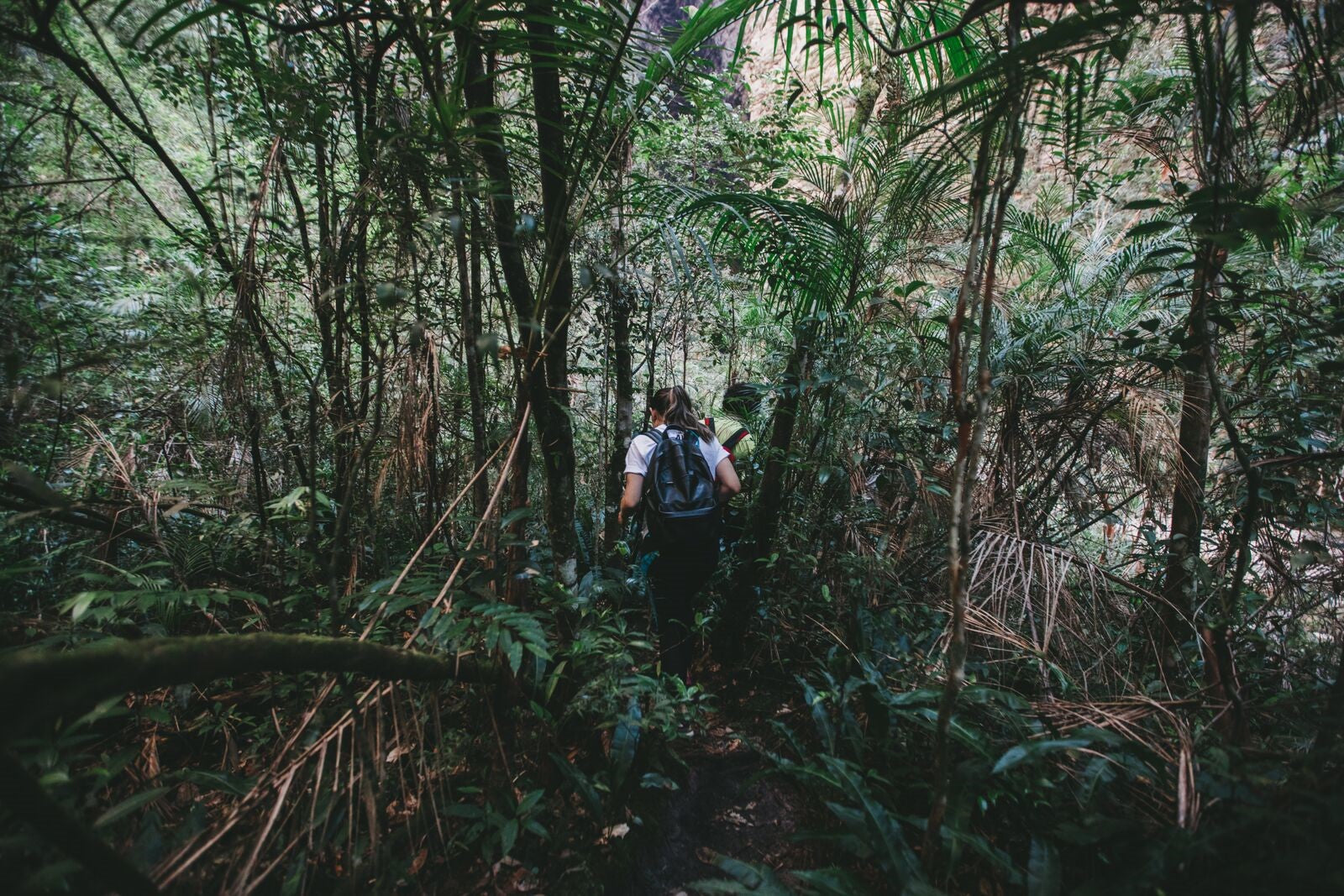 Brazil Origin Trip 2018