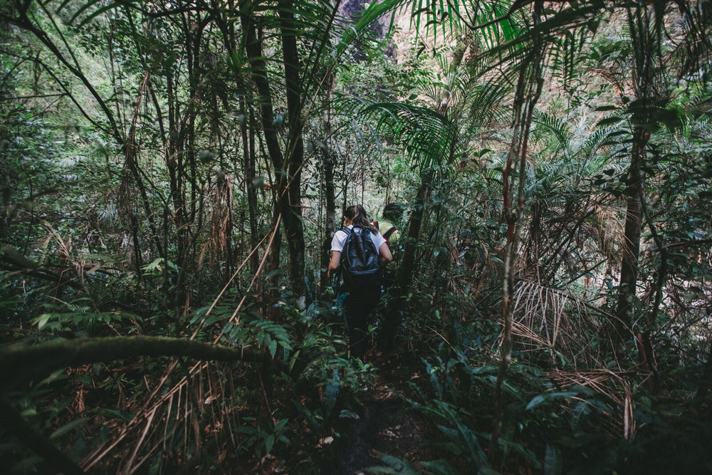 Brazil Origin Trip 2018
