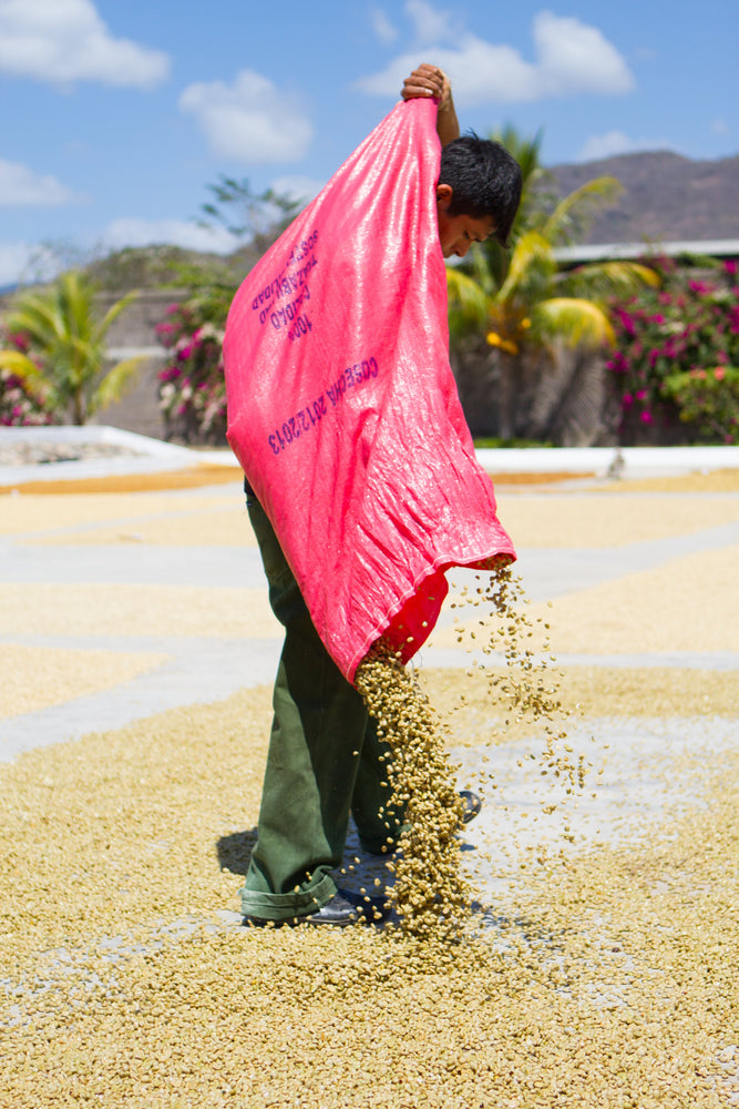 Nicaragua: A Rich Poor Country