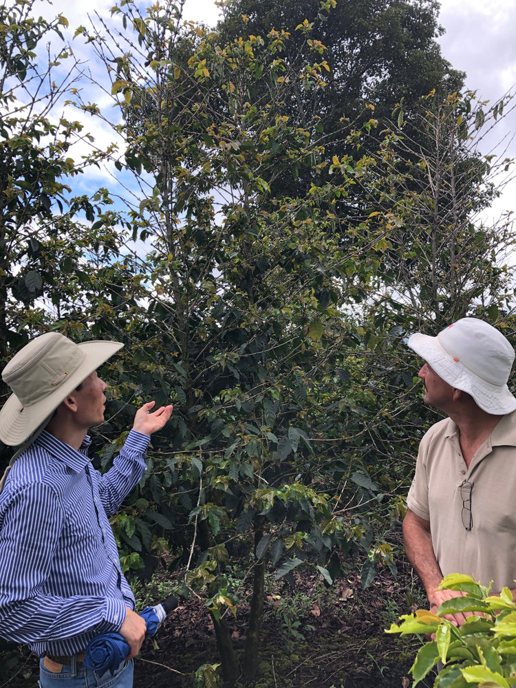 Costa Rica Origin Trip 2019