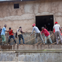 Group of people washing the coffee beans